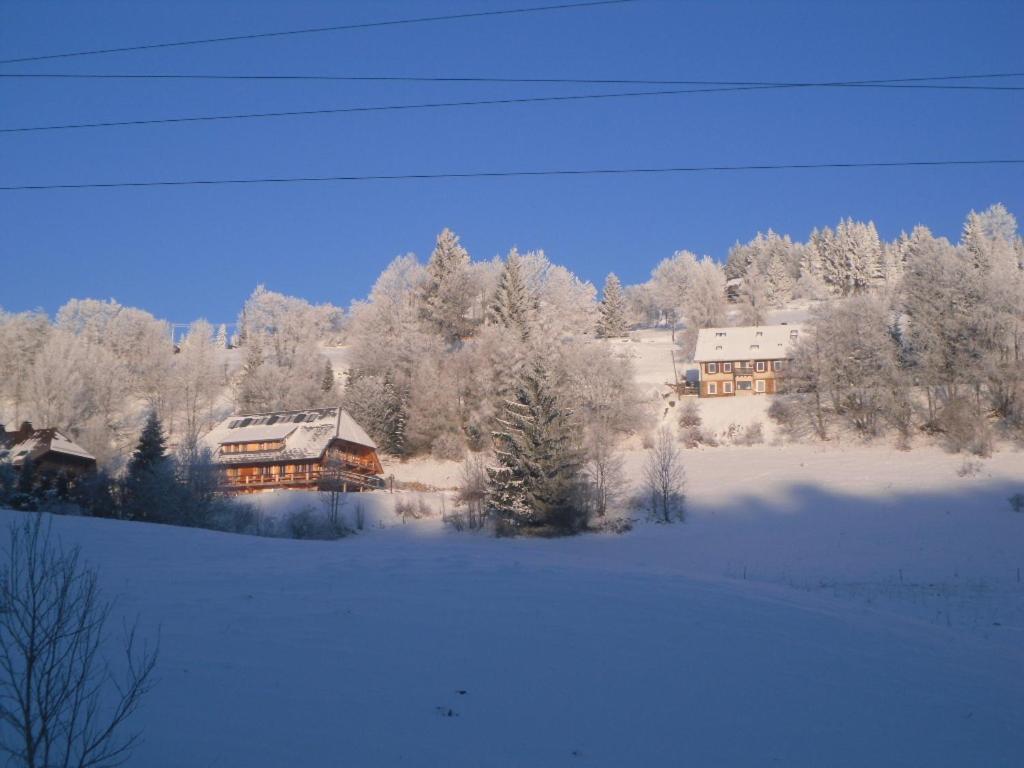 Отель Landgasthaus Gemsennest Фельдберг Экстерьер фото